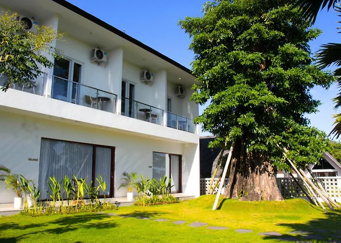 Padi Canggu