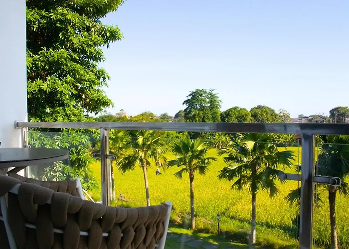 Padi Canggu