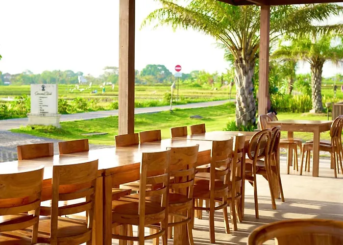Hotel Padi 4*