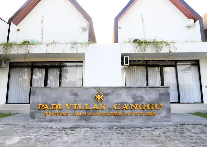 Padi Canggu