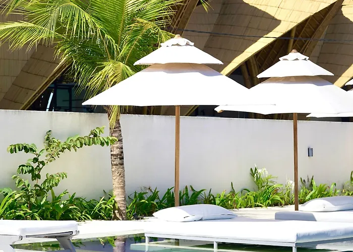 Padi 4*